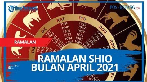 Ramalan 12 Shio Besok Kamis 15 April 2021 Shio Kerbau Paling Hoki