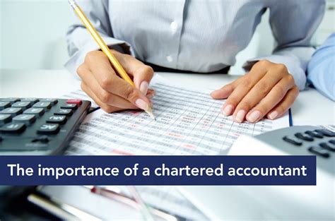 The Importance Of A Chartered Accountant News Acuad Group Real