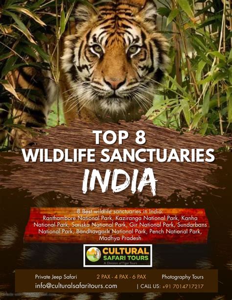 Wildlife Sanctuaries Of India Map List Importance Names 40 Off