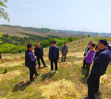 国家林业和草原局生态中心调研组 深入我市调研退耕还林还草典型模式及巩固成果相关工作 关注森林