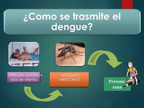 Dengue Enfermedad Lili Taps El Oro Ppt