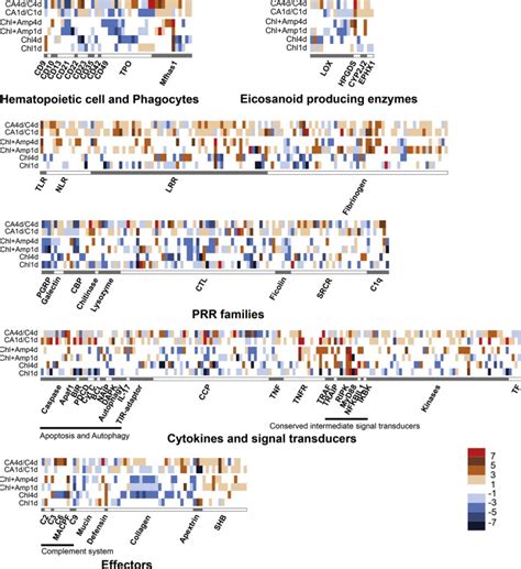 Expression Patterns Of Degs In Amphioxus After Chl And Chlamp Download Scientific Diagram