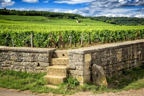 Burgundy Wine Tour Package Personalized Itineraries And Renowned Wineries