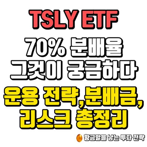 Tsly Etf 투자목적 분배금 커버드콜전략 Qanda 네이버 블로그