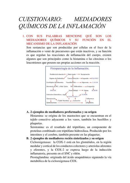 Cuestionario Mediadores Qu Micos De La Inflamaci N Kmednotes Udocz