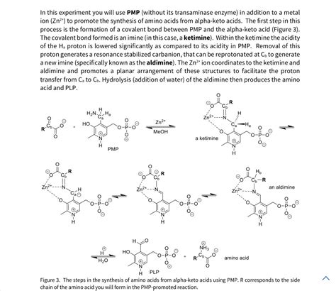 Provide The Reaction Scheme And Mechanism Of The Chegg