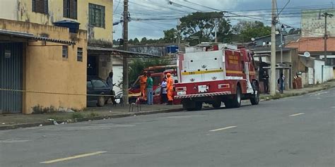 Ataque De Abelhas Mata Um Cachorro E Deixa Três Pessoas Feridas Em