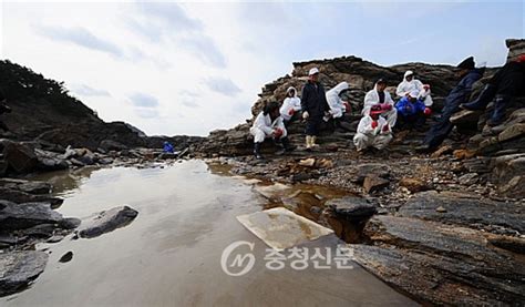 태안 기름유출 피해 7341억 인정