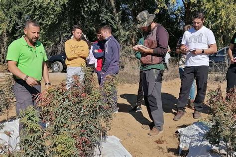 Efa Casagrande Pone A Disposici N El Grado En Gesti N Forestal Y Del