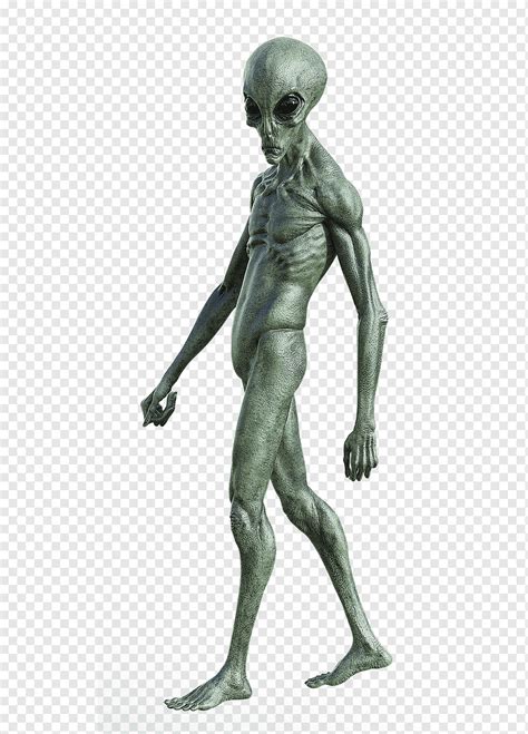 Sci Fi Alien Extraterrestrial Big Eyes Humanoid Nature Greys