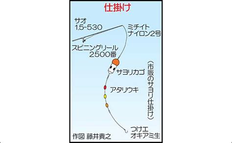 サヨリ釣り徹底攻略 仕掛け3パターンの特徴＆釣り方解説｜釣りまとめアンテナ