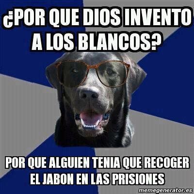 Perro Racista Ahora Hay Un Perro Negro Que Descrimina A Los Blancos D