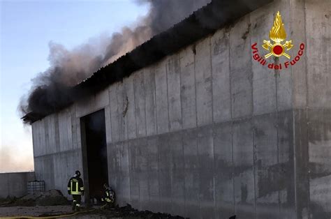 Incendio A Un Ricovero Attrezzi A Cona