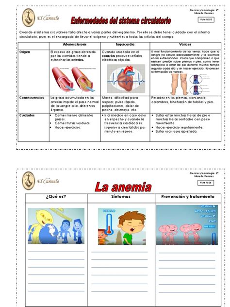 Enfermedades Y Cuidados Del Sistema Circulatorio Pdf Sistema Circulatorio Artería