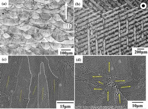 Typical Microstructure Of As Built Lpbf In Where A And B Show