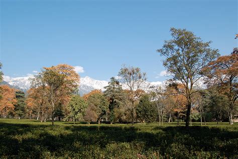 Weather and Temperature of Palampur