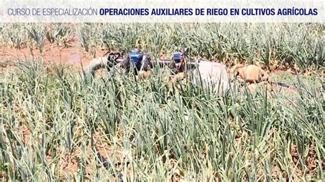 Curso De Operaciones Aux De Riego En Cultivos Agrícolas Youtube