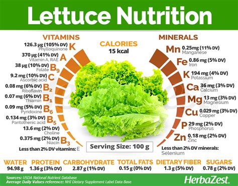 Lettuce Is A Widely Available Herb With Many Health Benefits Planes