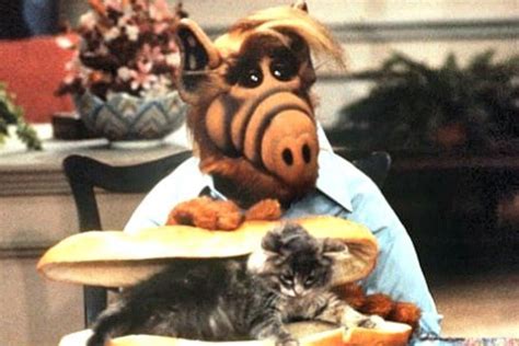 “alf” Una De Las Series Más Populares De Los Ochenta Está Disponible Completa En Hbo Max Infobae