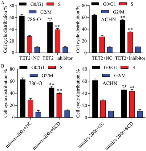 Tet Methylcytosine Dioxygenase Suppresses Renal Cell Cancer