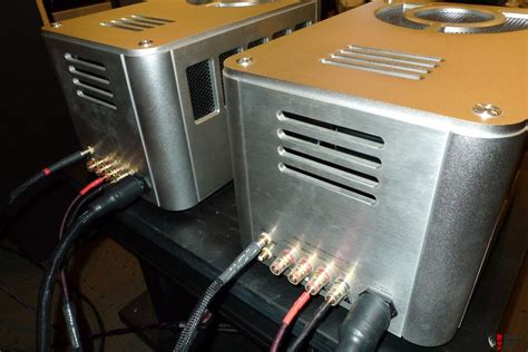 Cayin D Monoblock Power Amplifier Photo Canuck Audio Mart