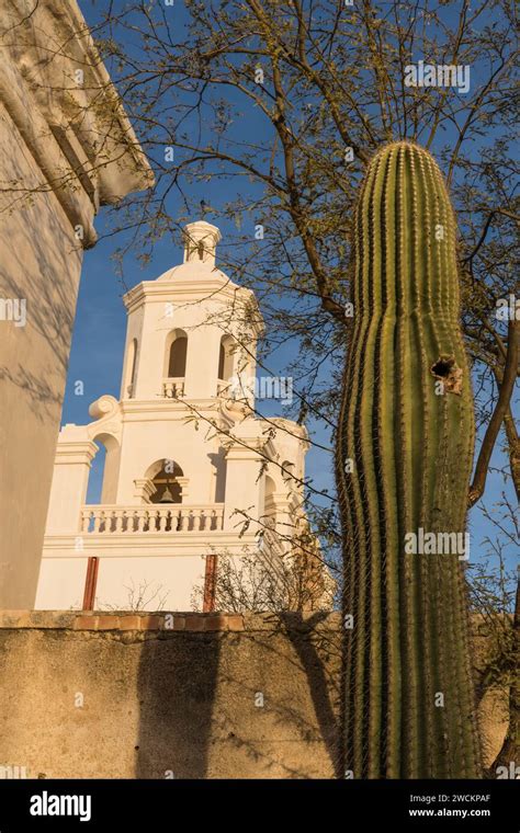 A Saguaro Cactus With A Bird Nest Hole And The West Bell Tower Of The