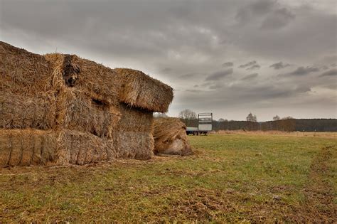 Top Hay Storage Ideas | American Carports Inc.