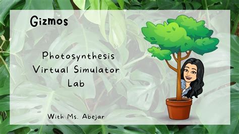 Gizmos Photosynthesis Virtual Lab Youtube