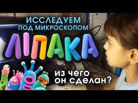 Липака под микроскопом. Неожиданное открытие! - YouTube