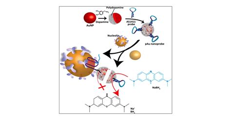 Exploiting The Catalytic Ability Of Polydopamine Remodeling Gold