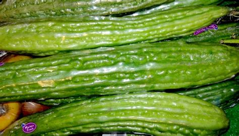 Ampalaya Bitter Gourd A Favorite Vegetable In The Philippines