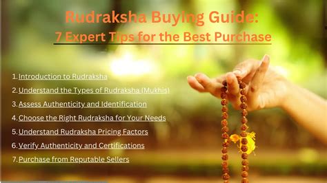 Rudraksha Buying Guide 7 Expert Tips For The Best Purchase