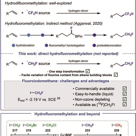 Hydro Per Fluoromethylation Of Alkenes This Work Direct Silyl