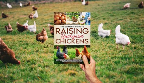 The Complete Guide To Raising Backyard Chickens By Raymond Charles