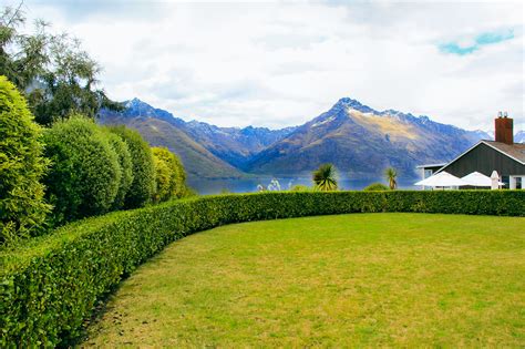 Hedging Projects Easy Big Trees New Zealand