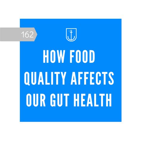 How Food Quality Affects Our Gut Health