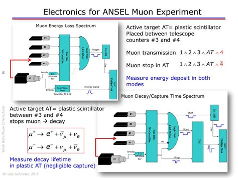 PPT Interactions Of Muons With Atoms Nuclei PowerPoint Presentation