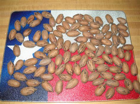 Real Texas Pecans