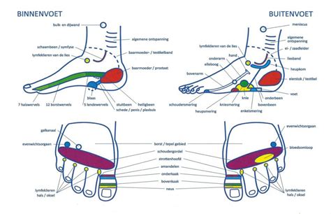 Voetreflex Therapie Behandeling Pedicure Friesland