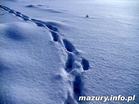 Zima Na Mazurach Mazury Info Pl