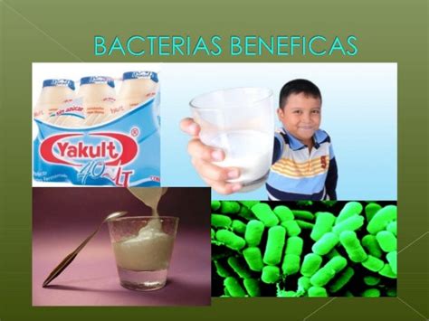 Bacterias Beneficas