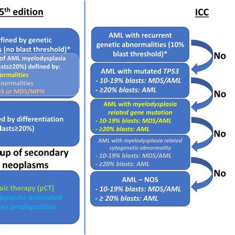 Pdf Acute Myeloid Leukemia Update On Diagnosis Risk