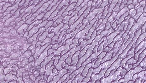 pickguard material sheet custom specialty material scale pride