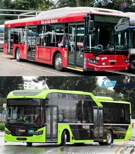 Comparison of Scania buses bodied by Scania and Gemilang Coachworks : r/bus