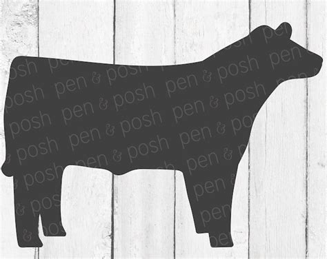 Show Steer Svg Show Cattle Svg Steer Clipart Market Steer Cut File