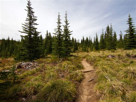 Kelly Butte Trail 1031 Mount Baker Snoqualmie Route Guide