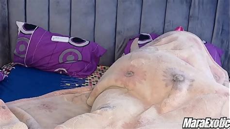 Early Morning Fuck Search XNXX