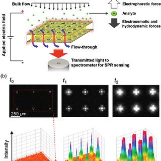 A Mechanism Of Flow Through Sensing Through Nanochannels B Image