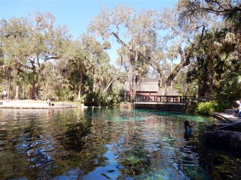 Juniper Springs in Ocala National Forest - The Adventures of Trail & Hitch