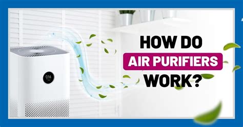 How Do Air Purifiers Work Wedo Air